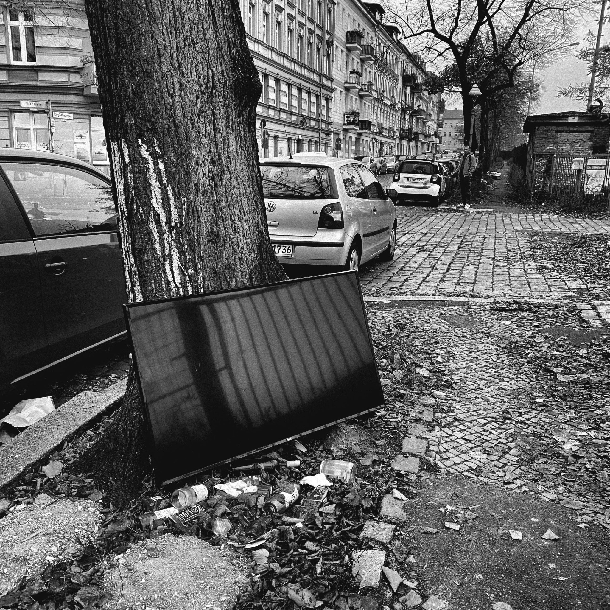 Intact flatscreen leaning against a street tree