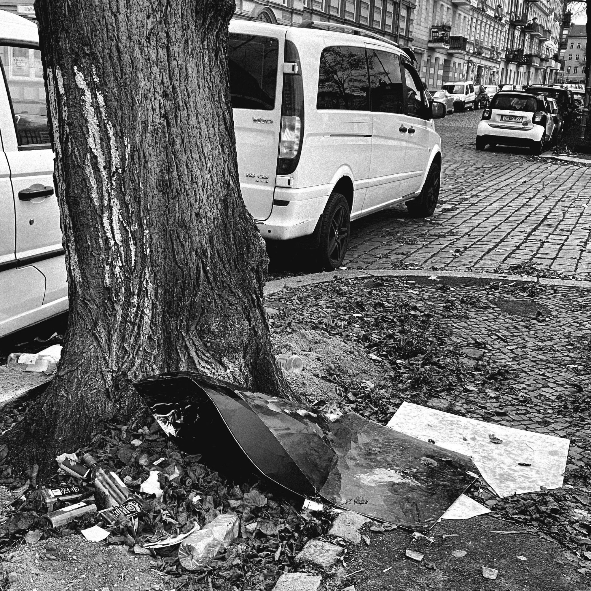 Destroyed flatscreen scattered beneath a street tree